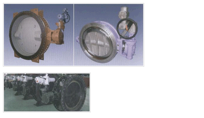 Water Works Butterfly Valve