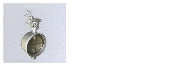 Butt Weld Butterfly Valve