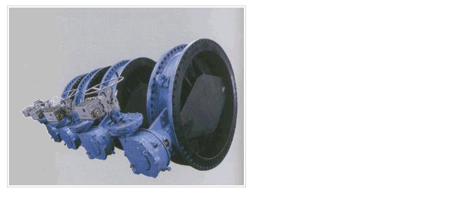 Rubber Lined Butterfly Valve