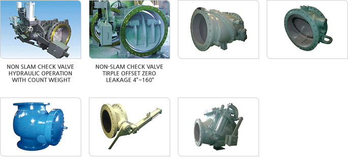 Stainless Non return valve