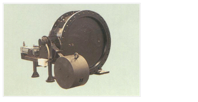 Combined Non return valve