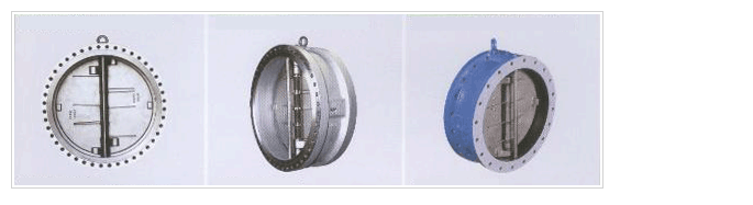 dual plate check valve