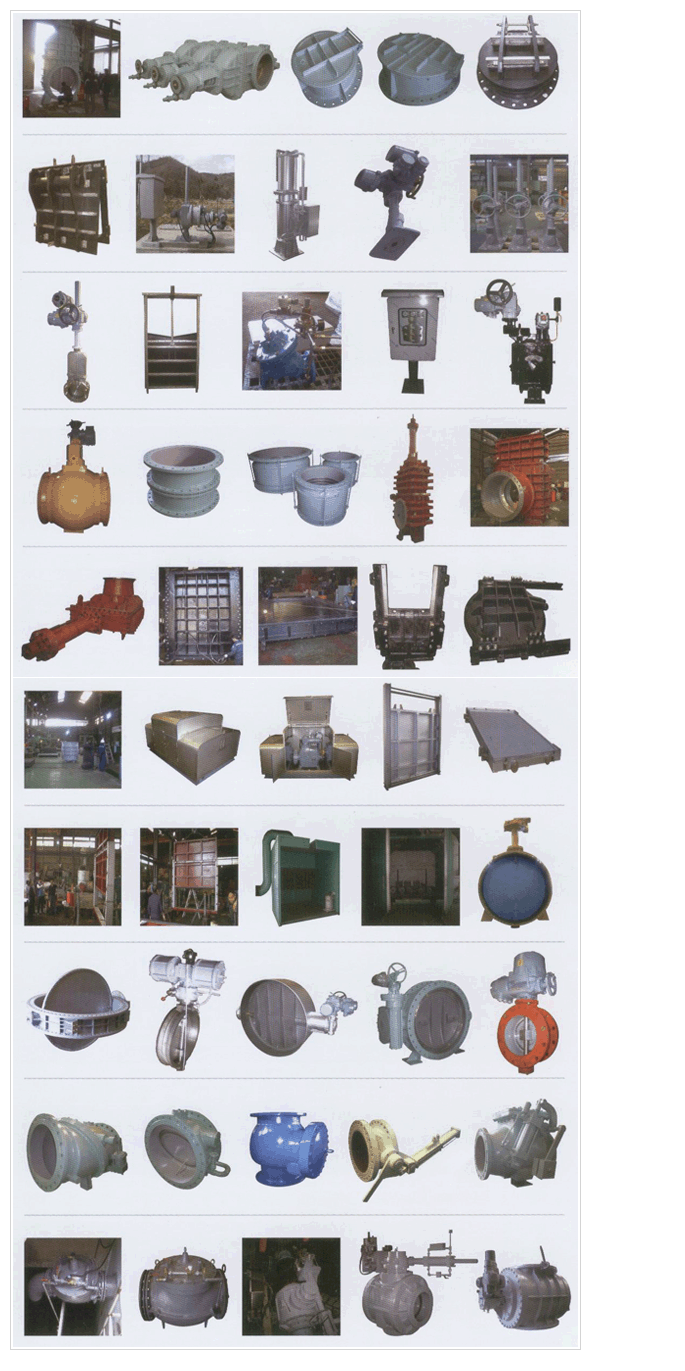 Kapeul Produces Valve Product