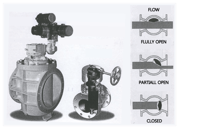 Eccentric Plug Valve